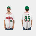 #85 LUIS CESSA MEXICO BASEBALL 2023 WORLD BASEBALL CLASSIC JERSEYC WHITE Stitches Baseball Jerseys